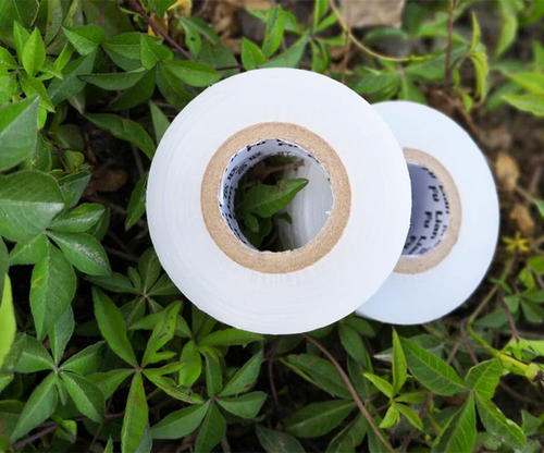 Biodegradable film for grafting